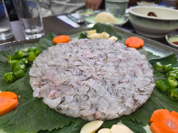  대구 수성못 맛집 싱싱뽈락회 수성못점 추천