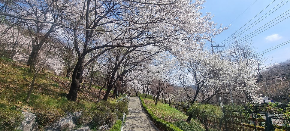 통나무집 사진 2