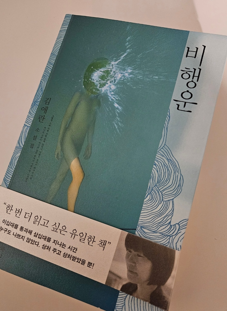  너는 겨우 자라 내가 되겠지, 비행운 - 김애란