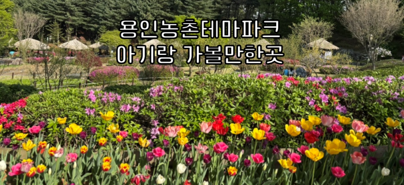 용인 농촌테마파크 11개월 아기랑 가기 좋은 곳 나들이 후기
