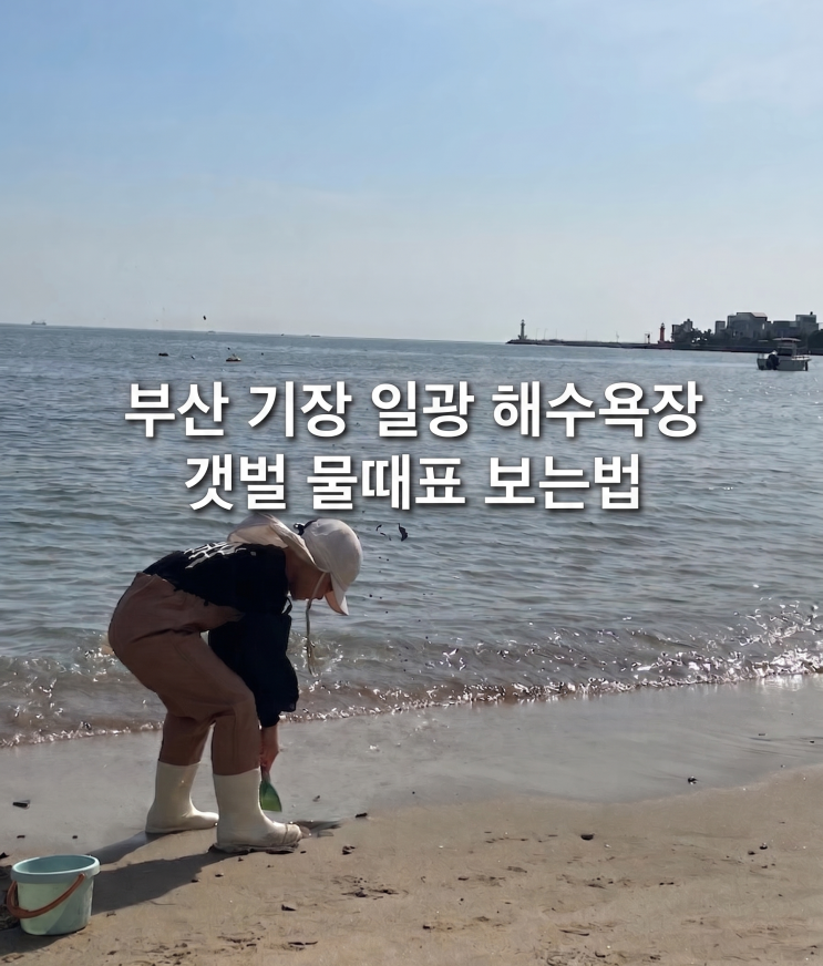  기장 일광해수욕장 갯벌체험 물때표 보는법! 아이와 조개잡이 준비물 꿀팁(학리방파제 기준)