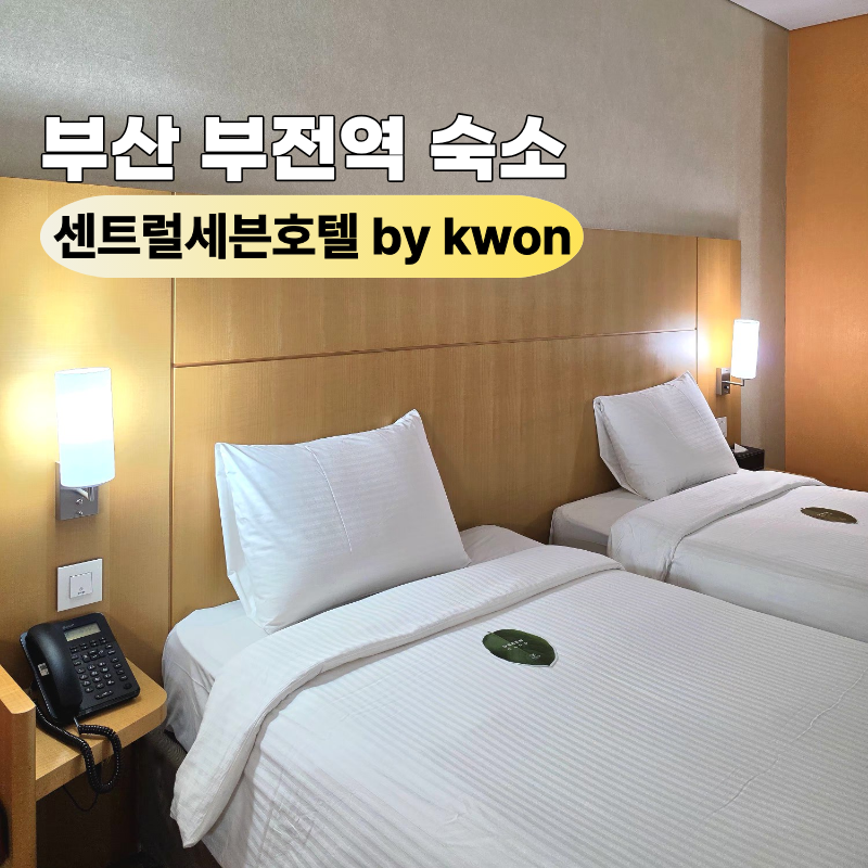 사진 2
