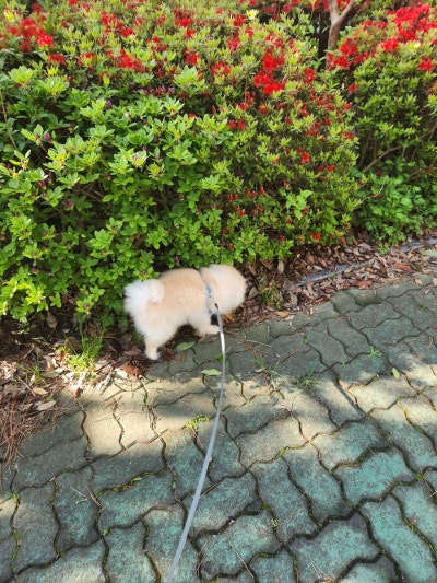 사진 8