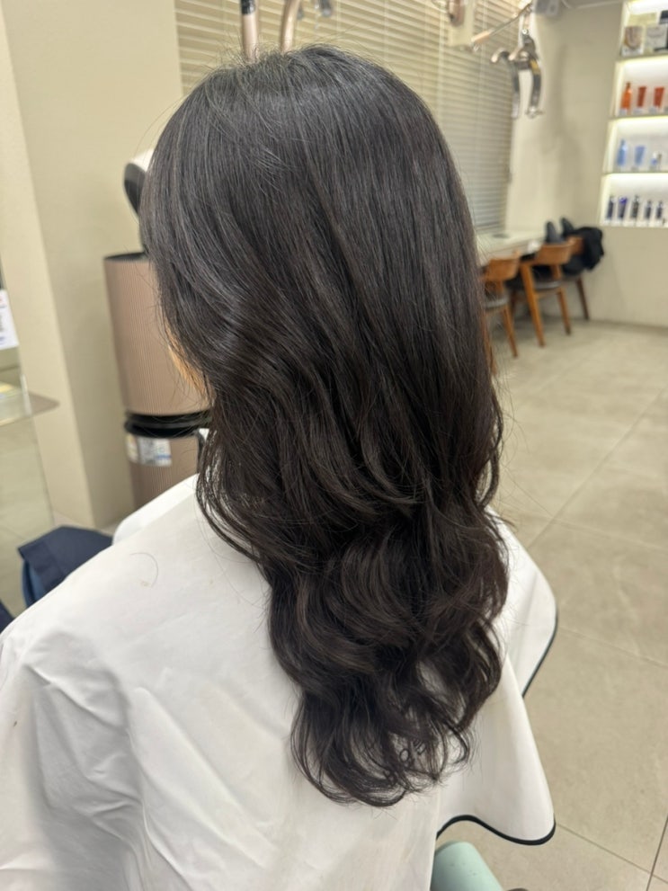  청담 강남구청역 미용실 비오른헤어 클리닉 솔직후기