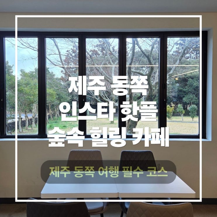  제주 동쪽 인스타감성 포토존이 가득한 포레스텔라 인 제주