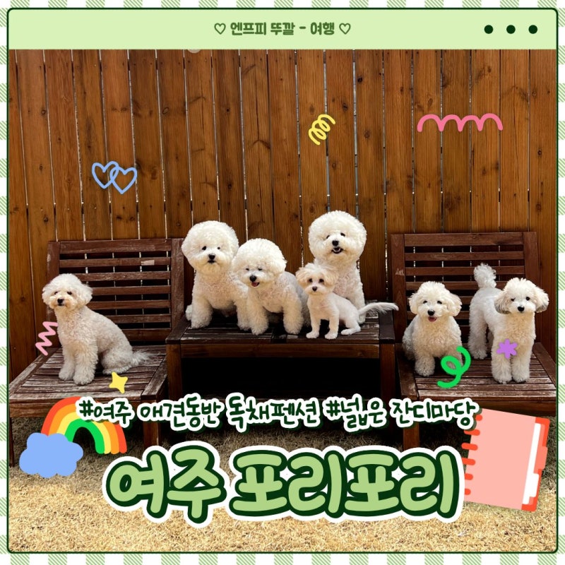 포리포리
