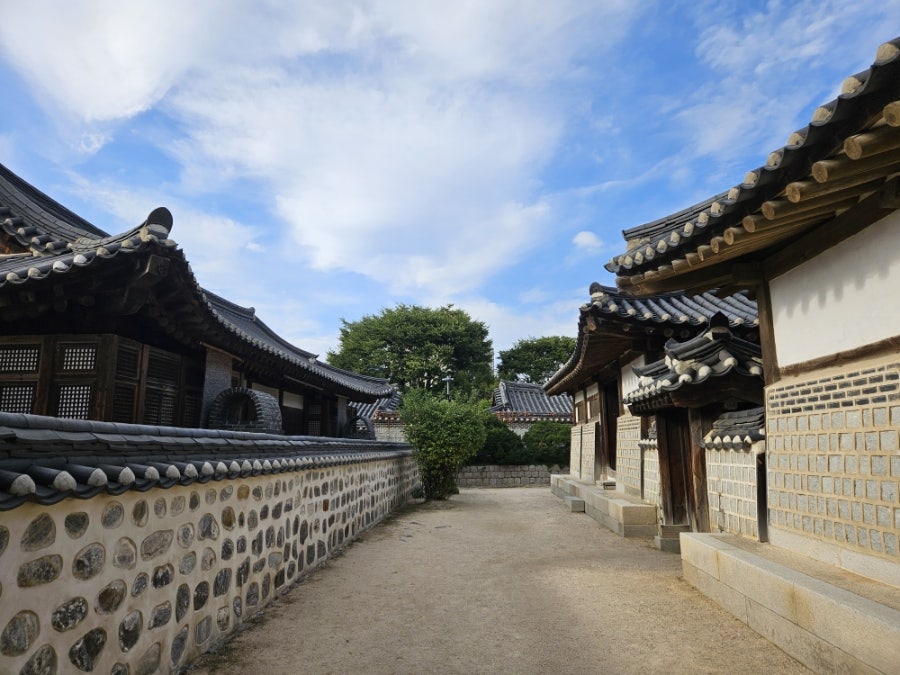디인포 사진 5