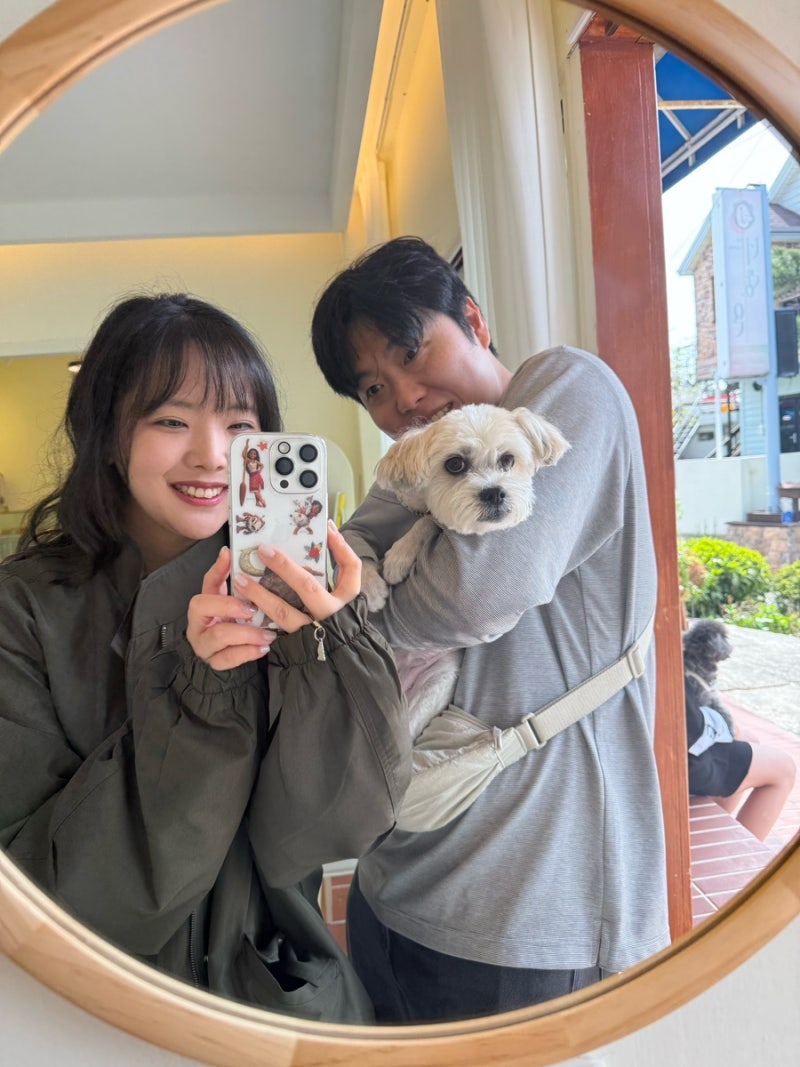 사진 3