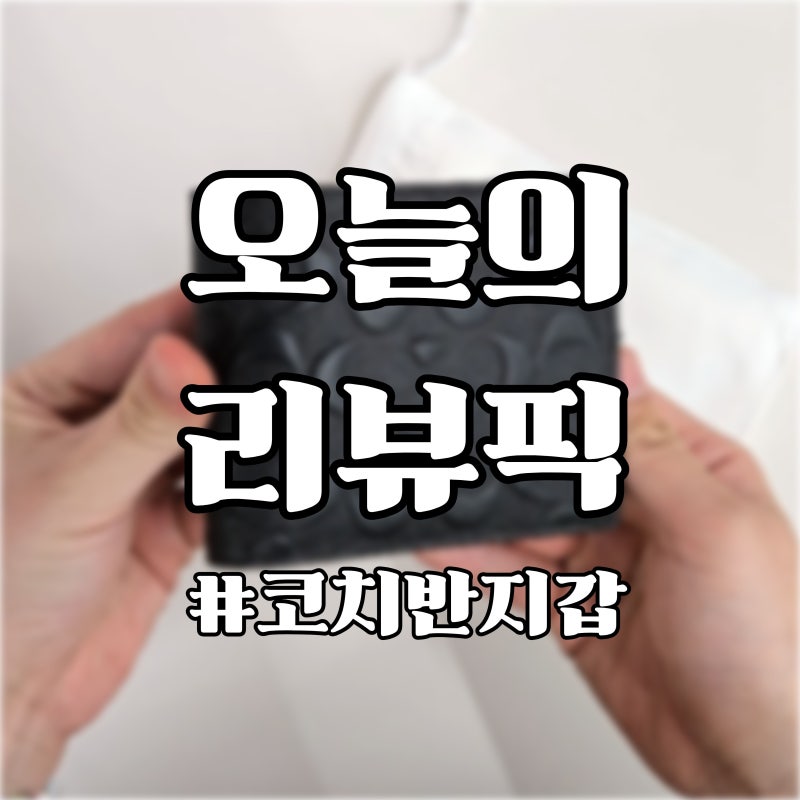 코치 반지갑 후기 남자 선물로 많이 찾는 이유