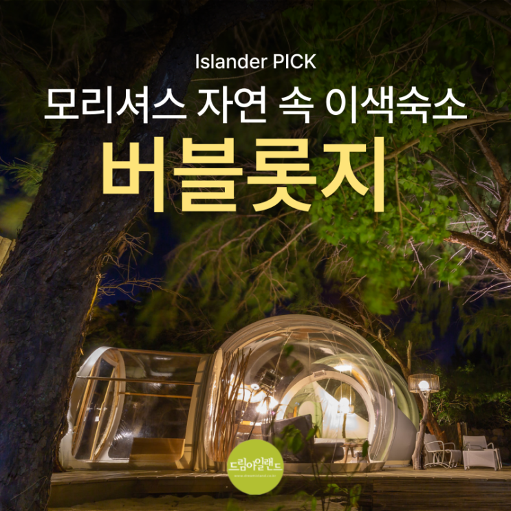  모리셔스 버블롯지 일로셰프 vs 부아쉐리 | 숲속에서 별 보며 잠드는 특별한 추억의 이색 숙소