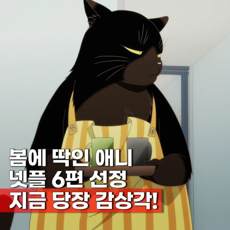  봄에 보기 좋은 넷플릭스 일본 애니추천 6편