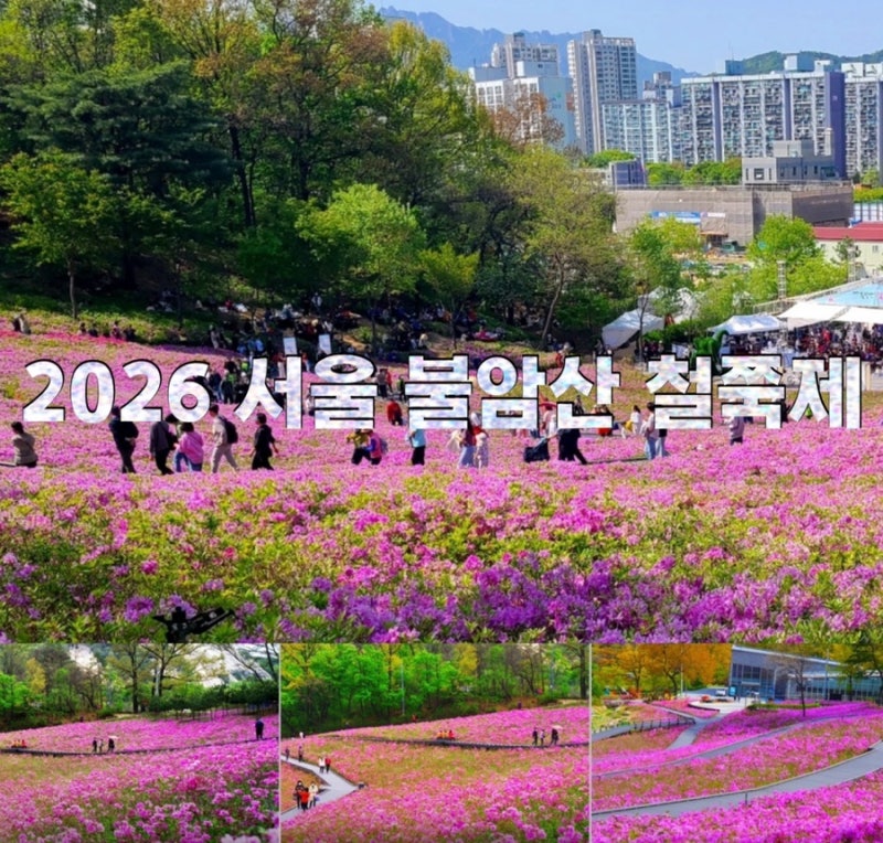 불암산철쭉동산