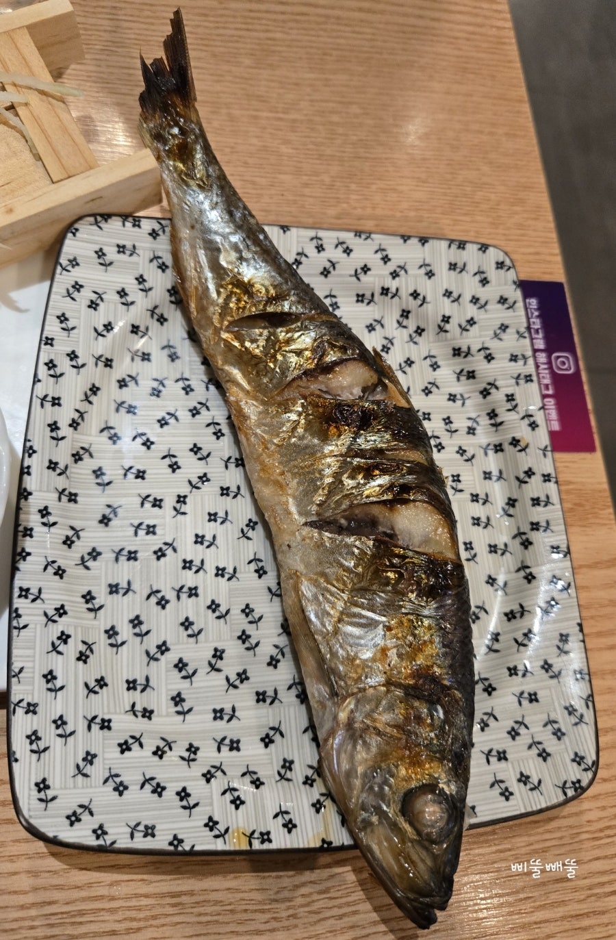 호시아이 사진 4