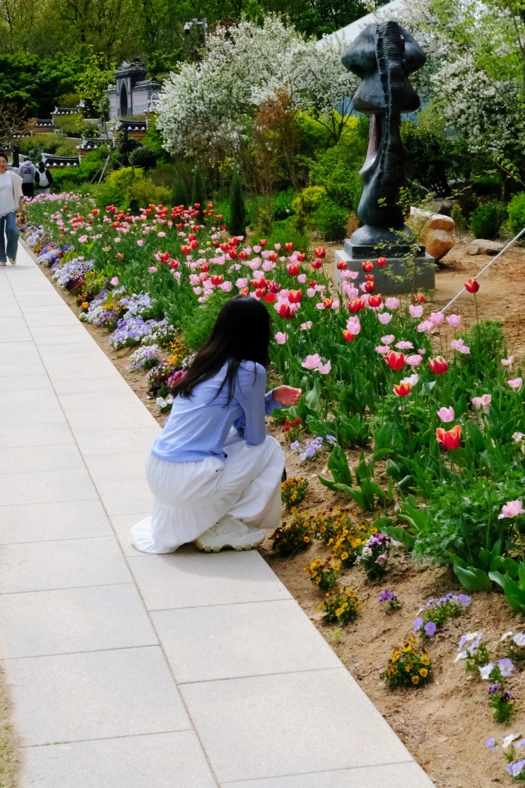  한국도로공사 전주수목원 공조팝 실시간 전주 식물원 볼거리