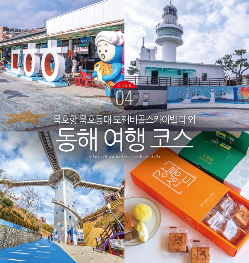 사진 6