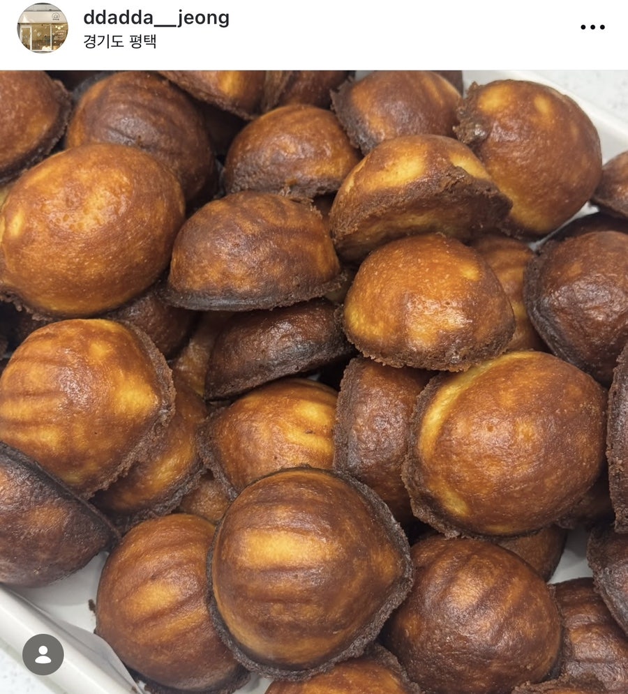 따따정 사진 5