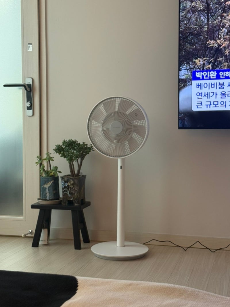 발뮤다 선풍기 그린팬s EGF-1800 화이트그레이 + 배터리팩 신세계강남 구매