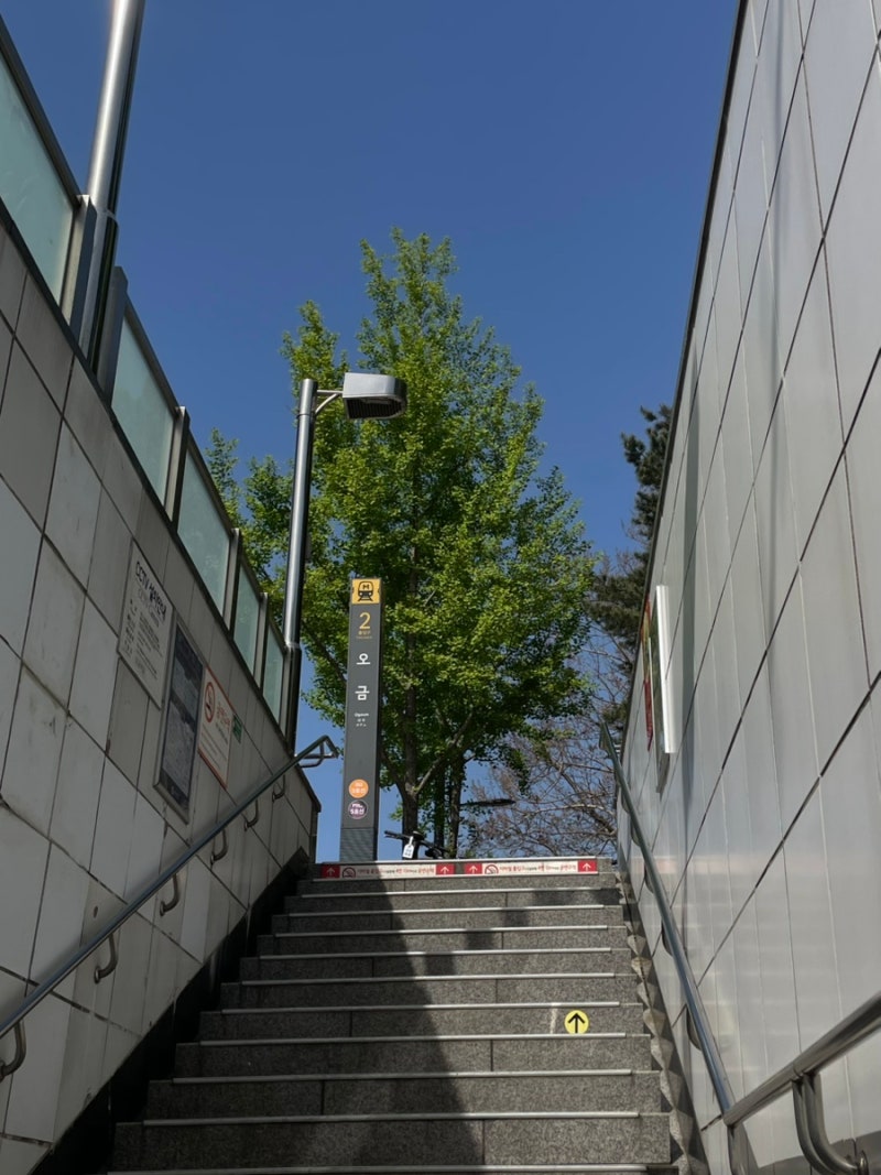 나의 음악은 이 모든 사라짐을 집요하고 구체적인 사랑을 기록하는 것에 있었다