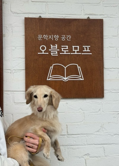 사진 4