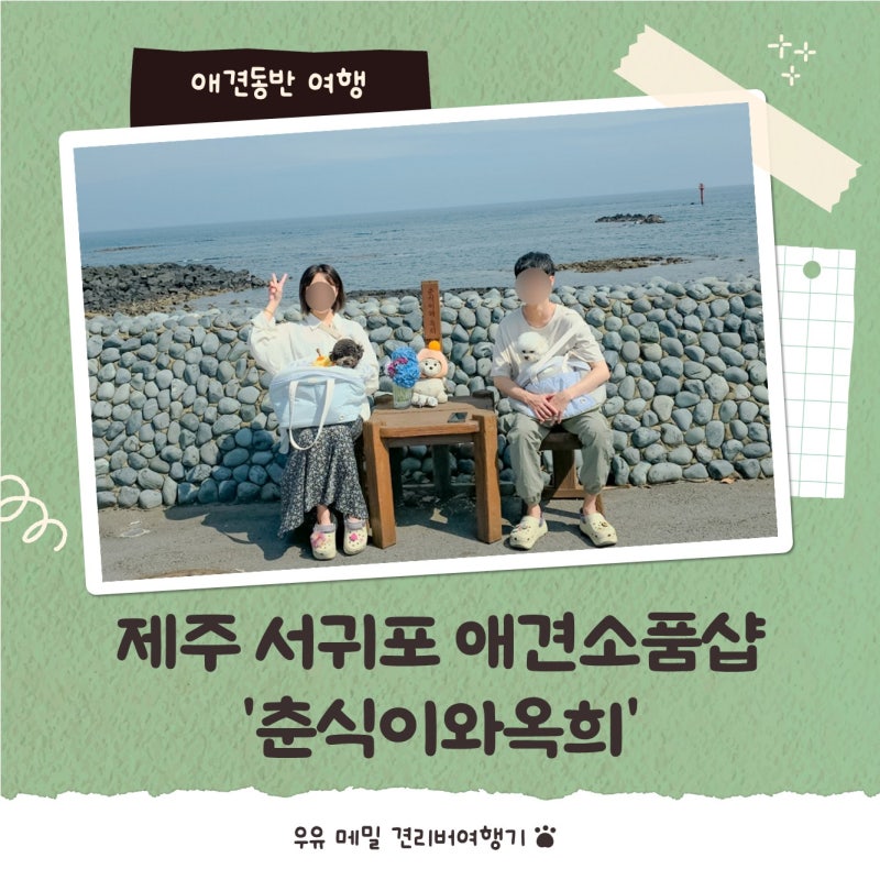 제주 서귀포 애견동반 여행 강아지용품 소품샵 춘식이와 옥희