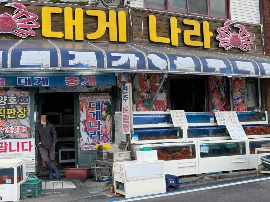 대게나라 사진 1