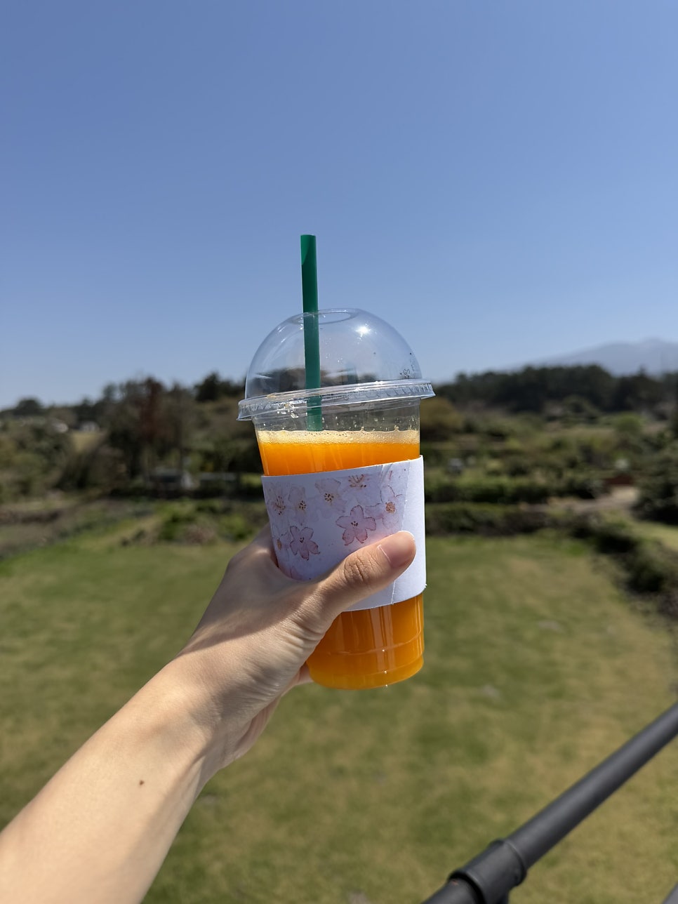 씨힐 사진 1