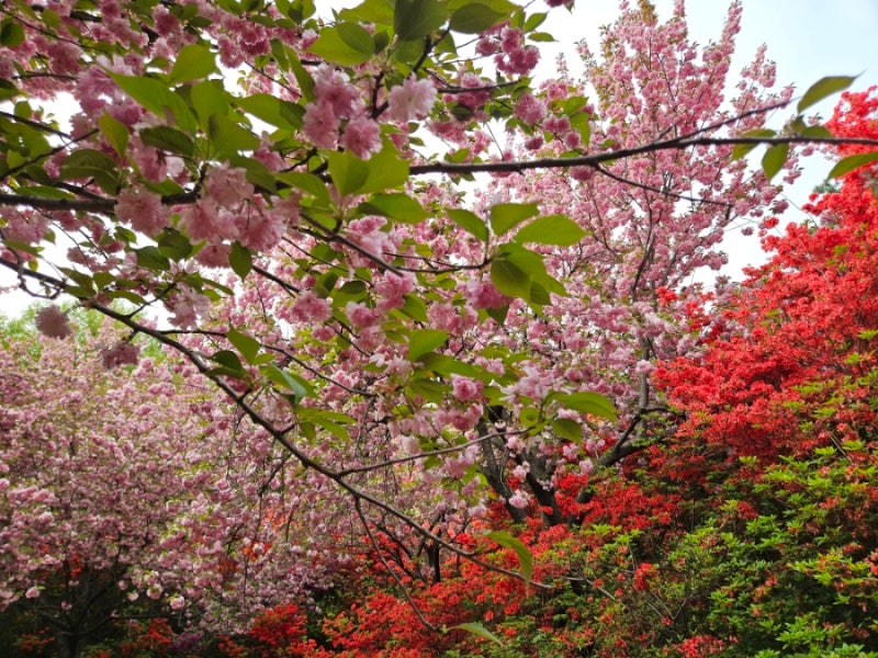 사진 8