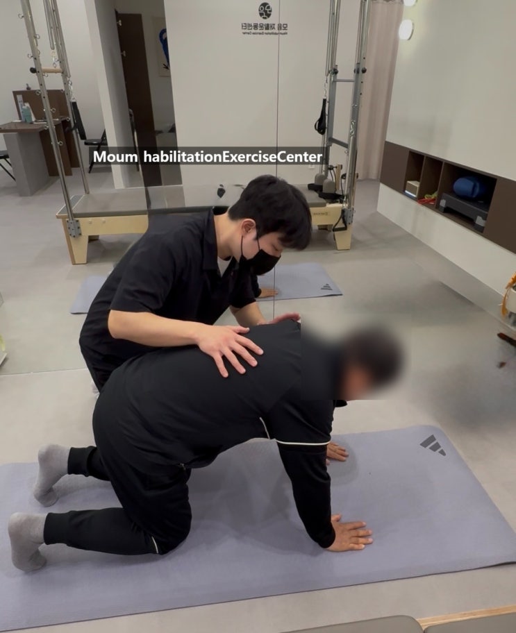  미추홀구 학익동 재활｜코어운동 베어자세, 파이크자세 추천 (허리·어깨 안정성까지)