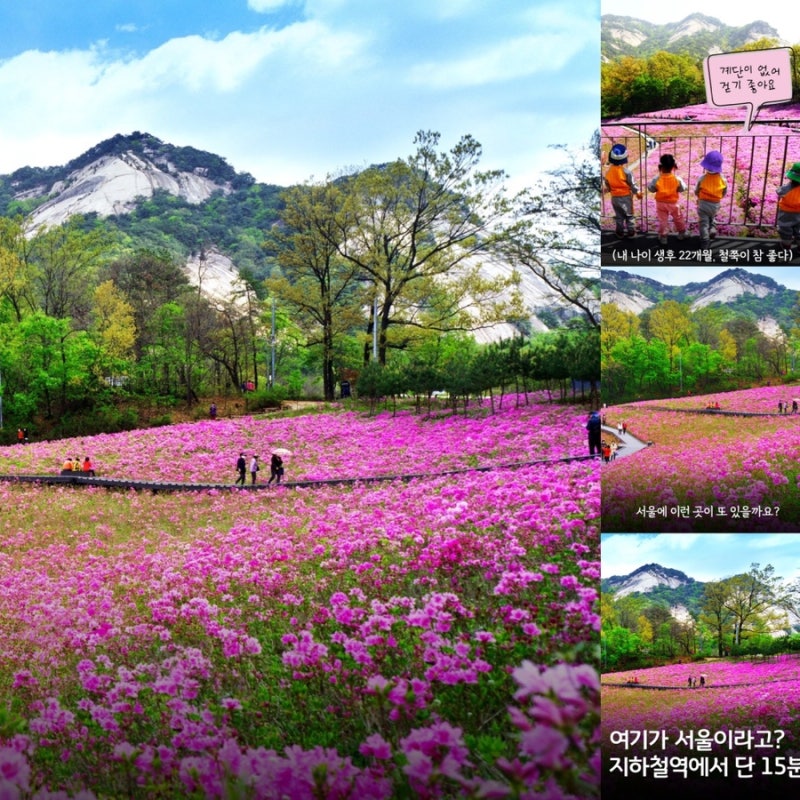 사진 2