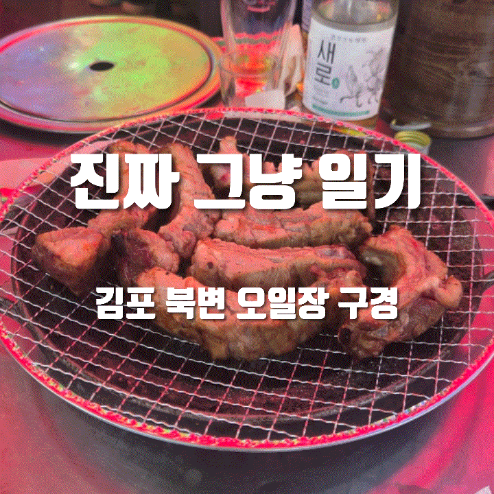  진짜 그냥 일기 | 3월 22일의 일상, 김포 북변 오일장 구경