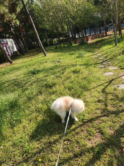 사진 7