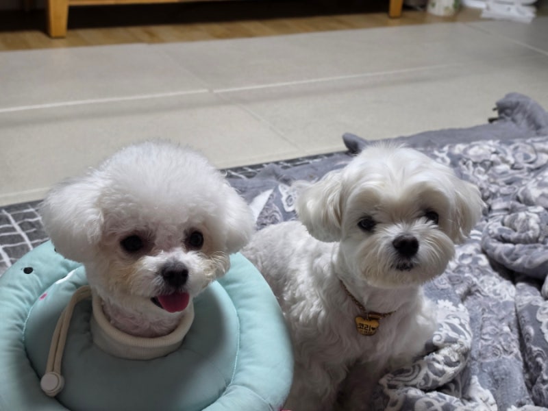 사진 6
