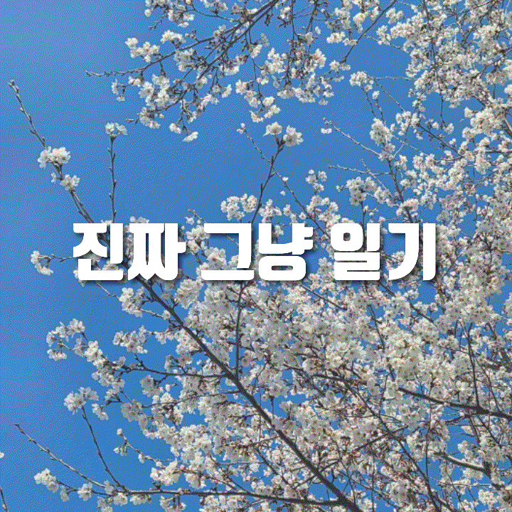  진짜 그냥 일기 | 또 밀린 한달간의 기록