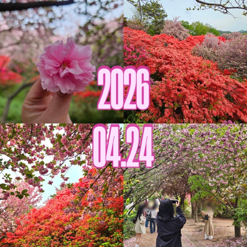 사진 7