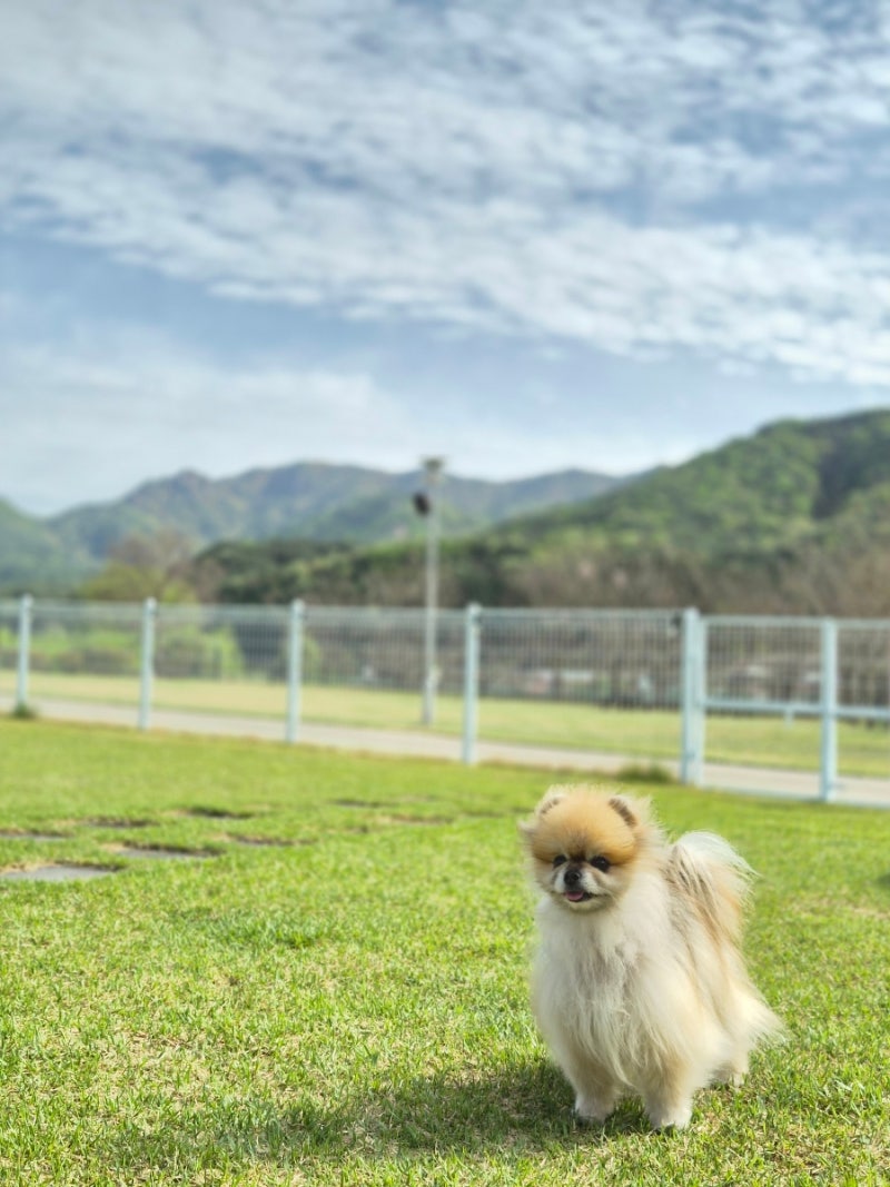 사진 2