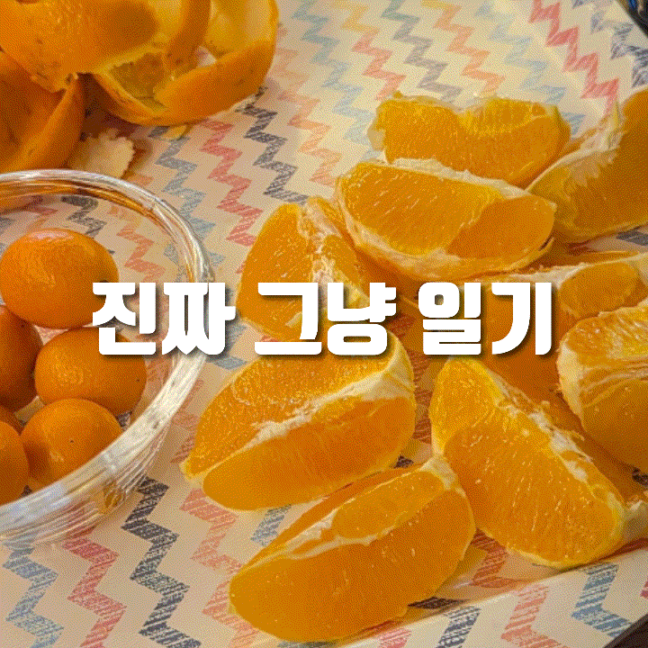  진짜 그냥 일기 | 3월 26일의 일상