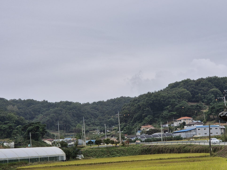 도장골 사진 1