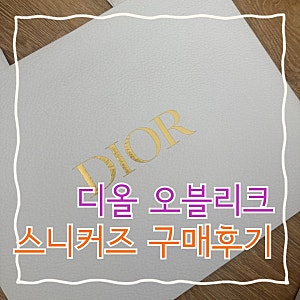 [쇼핑] 디올 오블리크 스니커즈 그레이 구매 후기