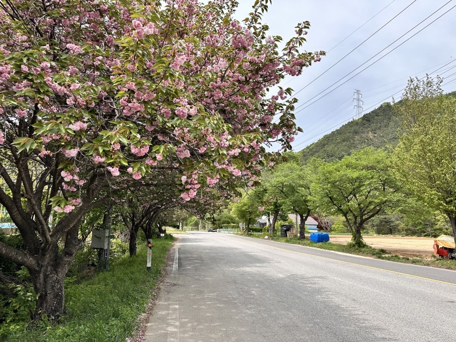 안골 사진 5