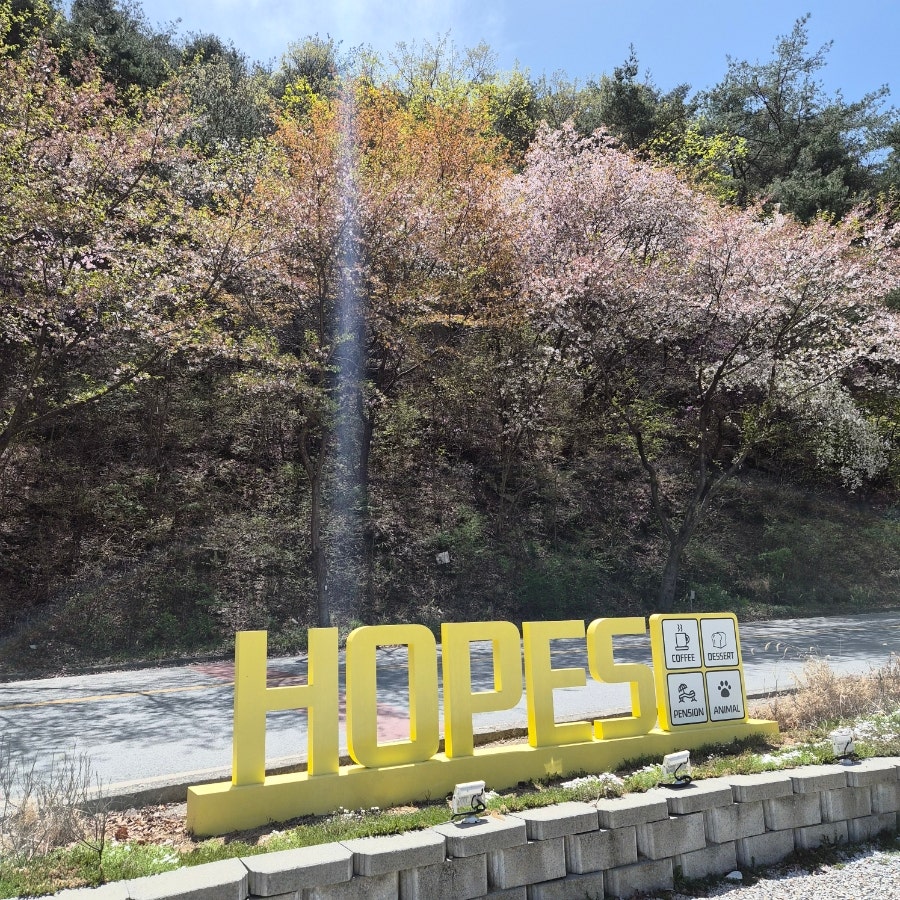 홉스커피 사진 2