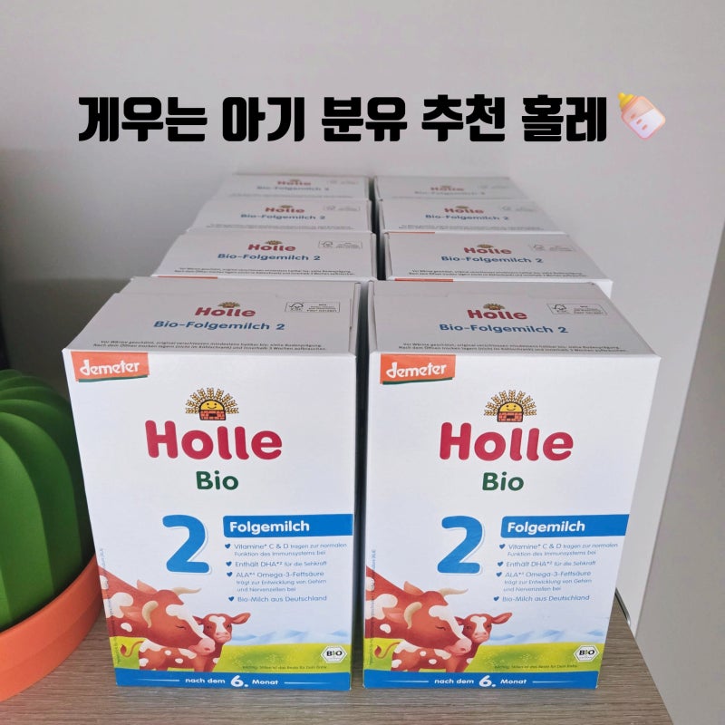 게우는 아기 분유 추천 홀레 내돈내산 솔직후기 | 국산 분유에서 수입 분유 갈아타기