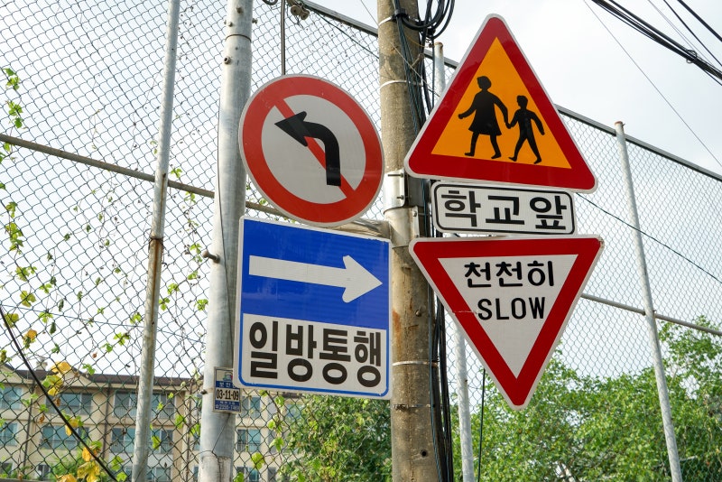 도로 표지판 종류와 뜻, 제대로 알고 계신가요? 잘못 설치된 표지판의 충격적인 사례 3가지
