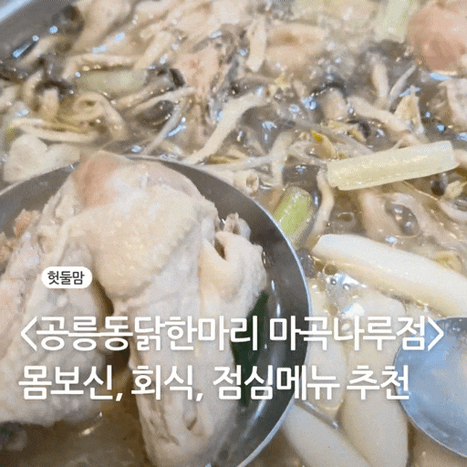  마곡 닭한마리 맛집 (마곡나루역 근처 닭요리 솔직 후기)