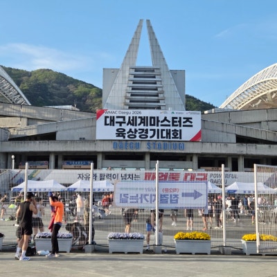 사진 8