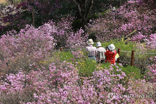 봄철 불청객 '알레르기 결막염' 어떻게 대처해야 할까