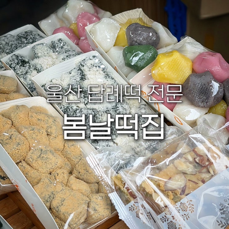  울산 떡집 봄날떡집 남구 달동 백일떡 결혼 답례떡 맛집 배달 가능한 곳 단체 간식 추천