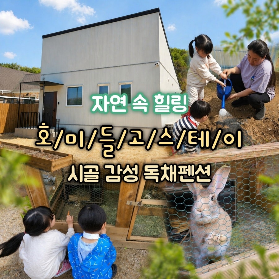호미들고스테이 사진 1