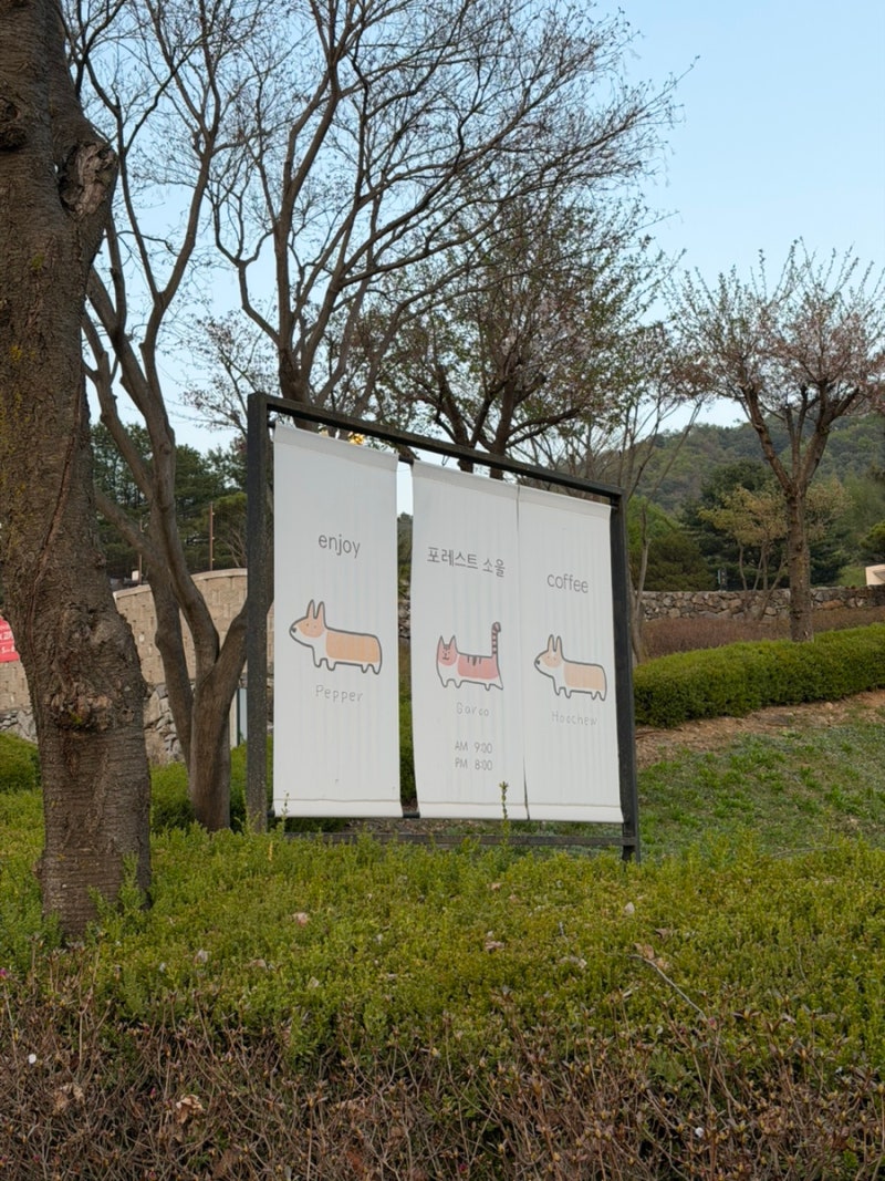 사진 5