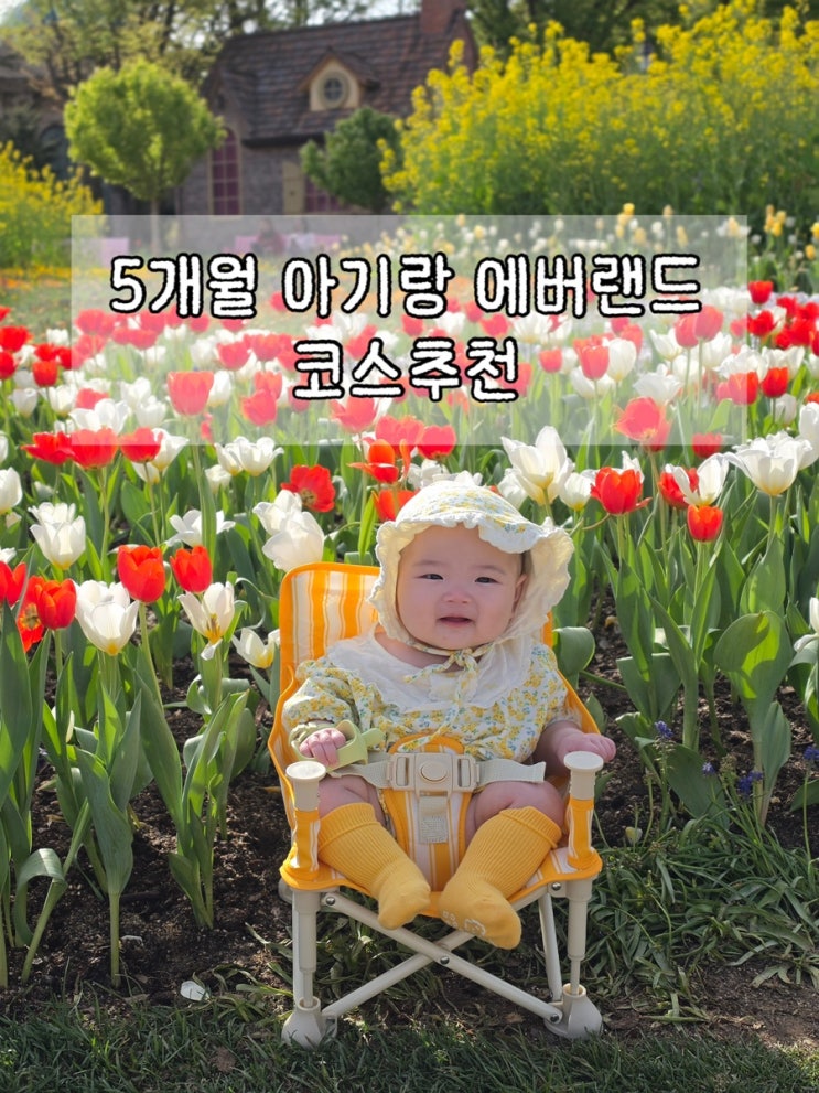  5개월 아기랑 에버랜드 다녀오기 | 아기 나들이 코스, 수유실, 기갈대, 주차할인정보