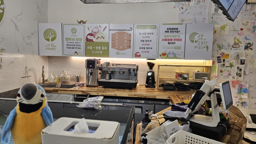 리프패럿 구미점 사진 5